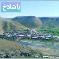 جوجه غاز و غاز  و بوقلمون