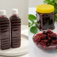 شربت و مربا البالو
