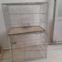 قفس پرنده