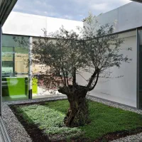 گلستان شمالی  ۴۵۰  متر بهترین اپارتمان تهران