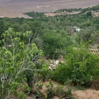 باغ با چشم انداز ابدی در بهشت پنهان برزک