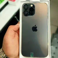 iPhone 13 Pro Max cha