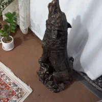 گرگ