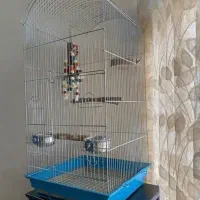 قفس.مرکز فروش۰جشنواره روز مرد