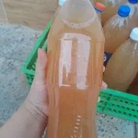 آبغوره تازه