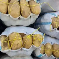 خیار|خوردنی و آشامیدنی|اصفهان, مسجد مصلی|دیوار