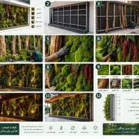 طراحی و اجرای فضای سبز و باغ در مشهد  آلتای گاردن