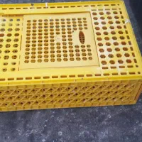 فروشی قفس راهکش کبوتر