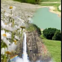 کمپینگ جنگلی آغوزحال