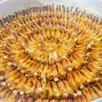 غذایی شرکتی