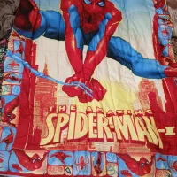 روتختی نوجوان مردعنکبوتی سالم سالم