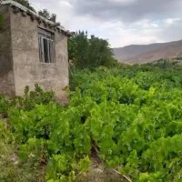 فروش-زمین-و-باغ-در-ده-شیخ