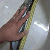 آروانا سیلور ۴۰ سانتی سیچیلاید اورا