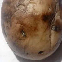 سنگ مرهم. پادزهر. شفا یا درمان
