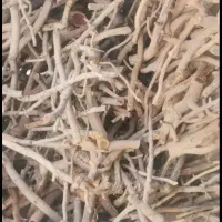 خریدچوب پسته