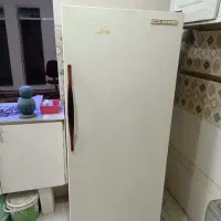 یخچال پارس سالم