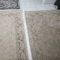 فرش ۶ متری یک جفت