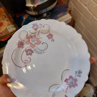 آرکوپال