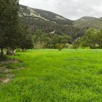 زمین هکتاری مناسب برای شهرک سازی