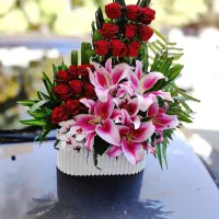 رز هلندی ۸۵تومن