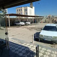 استخدام نیروی کارواش