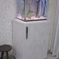 اکواریوم