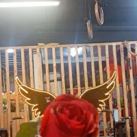 مربی بدنسازی و فیتنس 4pro