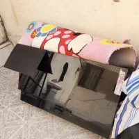 هود سالم