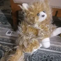 جای دستمال کاغذی به شکل گربه