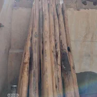 دار وتخته
