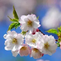 کارگرم ۵۳ساله هرکاری باشه میام هرجاباشه میام