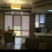 هم خونه خانوم