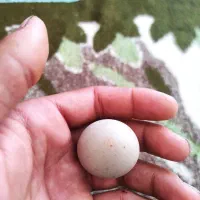 سنگ آسیاب|بدلیجات|زرند, |دیوار