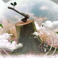 کتاب زیست دهم میکرو قرن جدید گاج