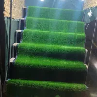 گاری برای میوه فروشی