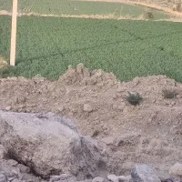 زمین‌آبی‌روبه‌روی‌پتروشیمی