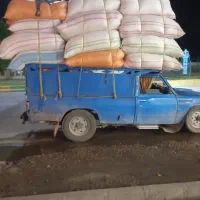 کاه گندم و خار شتر