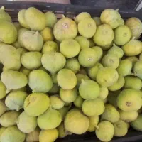 انجیر سمنان شیرین ابدار