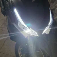 توسن آیروکس مشکی طلایی رنگ خاص
