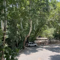 جذب نیروی خانم در رستوران