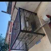 جوشکاری سیار محدوده عباس آباد تا کار آباد