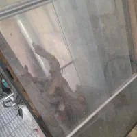 آکواریوم خزنده