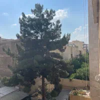 زمین-هوانیروز-300-متر-دو-نبش
