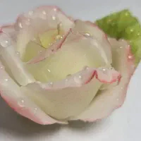 شمع گل رز دستساز|صنایع دستی و سایر لوازم تزئینی|تهران, مجیدآباد|دیوار