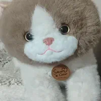 عروسک گربه