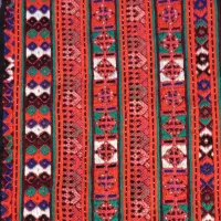 زیاستین