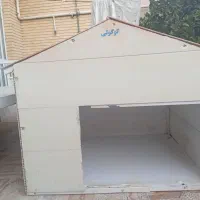 لونه سگ