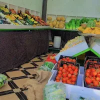 پالت میوه فروشی تکمیل