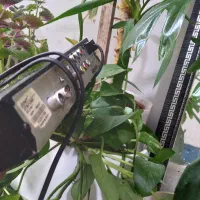 دستگاه گیرنده دیجیتال