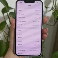 iphone13|موبایل|تهران, دیلمان|دیوار